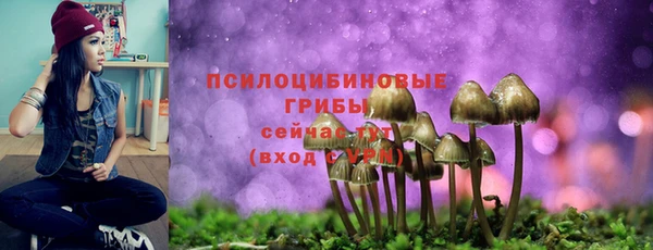 MDMA Белокуриха