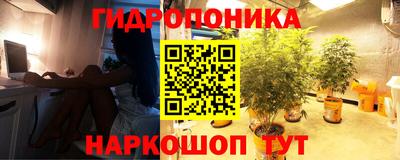 гашиш Будённовск