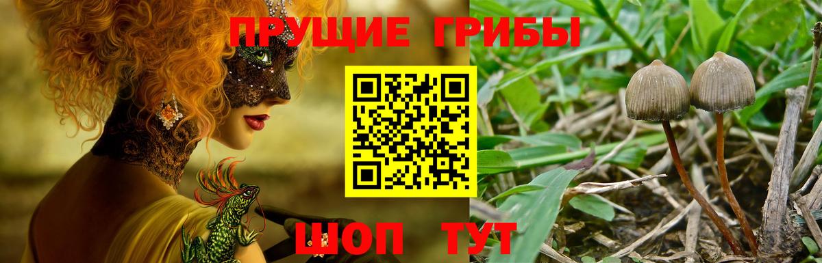 Бугульма  Канабис  Кислота  МЕФ  Вход с VPN  COCAIN 