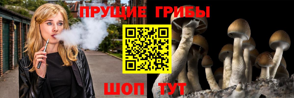 Галлюциногенные грибы GOLDEN TEACHER  Вход с VPN  Псилоцибиновые грибы ЛСД  Бугульма 