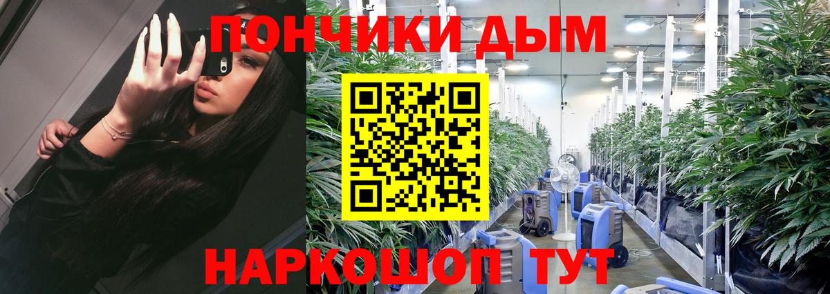 Бугульма  Марихуана ГИДРОПОН  Бошки марихуана Ganja  Вход с VPN  МАРИХУАНА семена  Бошки Шишки сатива 
